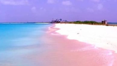 cropped-Pink-Sands-Beach-–-Bahamas.jpg