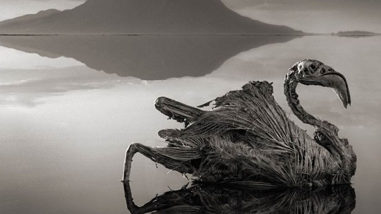 Os Lugares Mais Estranhos e Misteriosos do Planeta