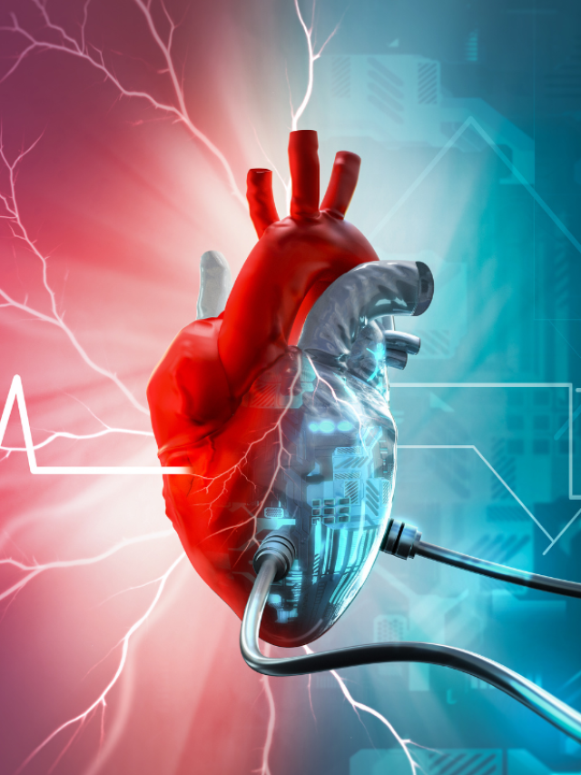 Exercícios Físicos Que Melhoram a Saúde do Coração