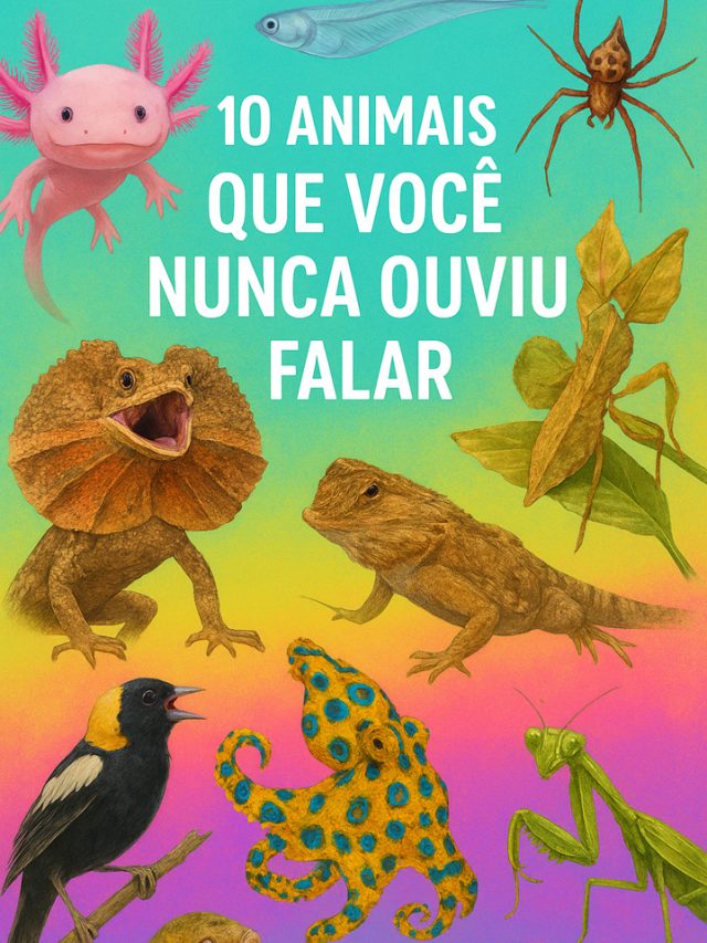 10 Animais Que Você Nunca Ouviu Falar