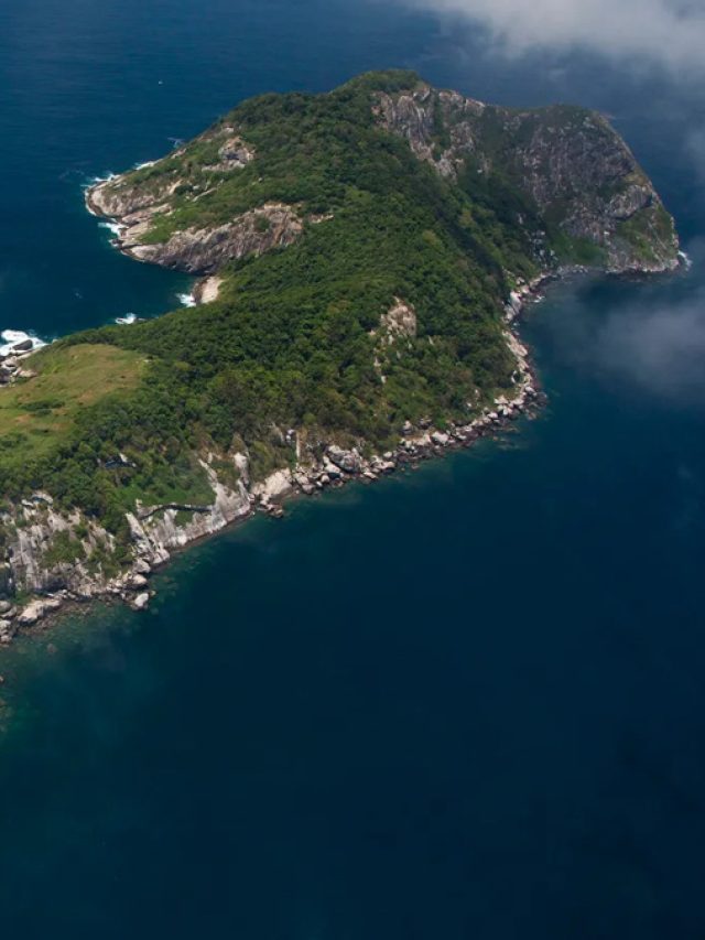 Ilha das Cobras: Mistérios, Curiosidades e Perigos do Lugar Mais Mortal do Mundo