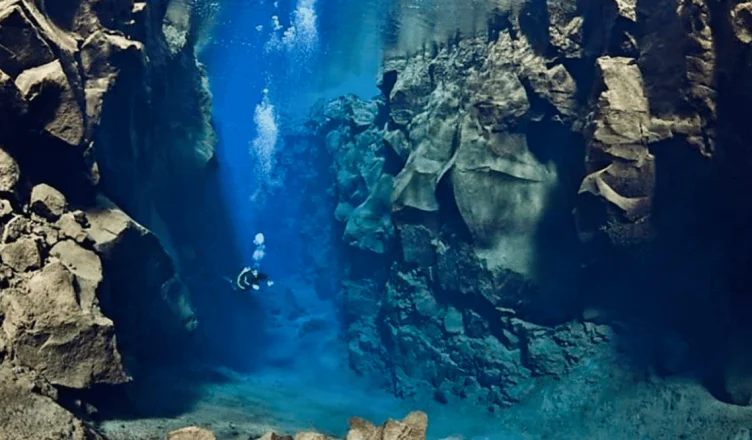 o que existe no fundo do oceano